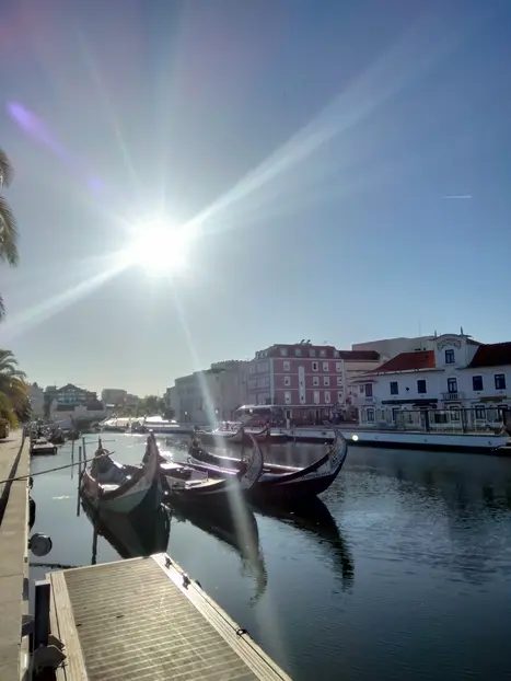 Foto 10 de Free free tour por Aveiro - Routes&Roots de Antonio