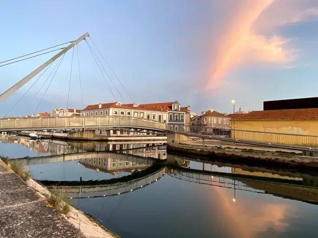 Foto 3 de Free Tour Aveiro Todo en Uno