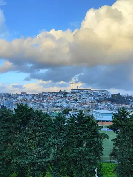 Foto 6 de Free Tour Imprescindible con el Guía de Coimbra