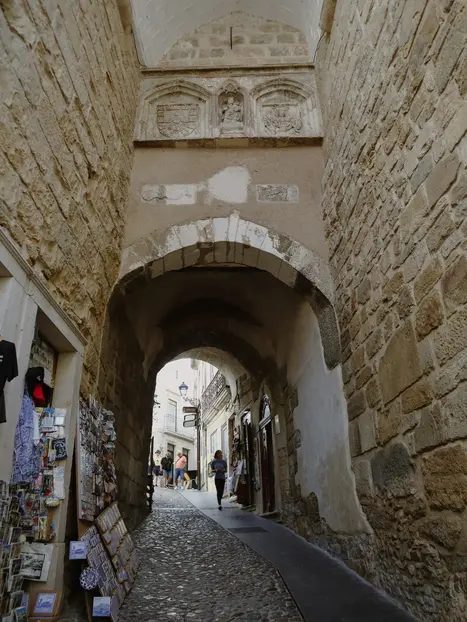 Foto 3 de Coimbra: Historia, Tradiciones, Atracciones y su Gente