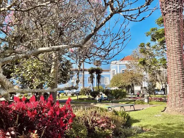 Foto 5 de Tour Ponta Delgada, imprescindible