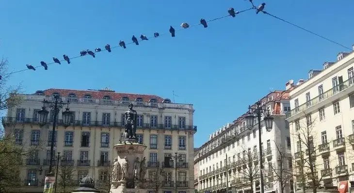 Foto 6 de Barrios antiguos de Lisboa, historia y sus historias