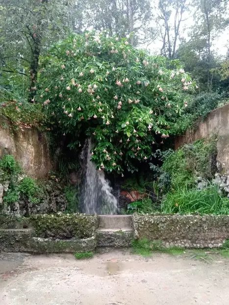 Foto 10 de Free tour historia-misterio-tradición de Sintra