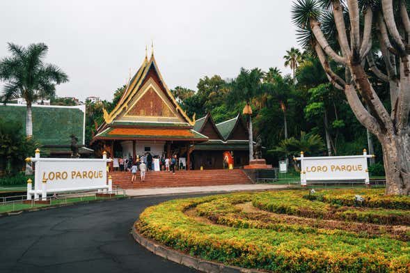 Entradas al Loro Parque y Siam Park: Twin Ticket
