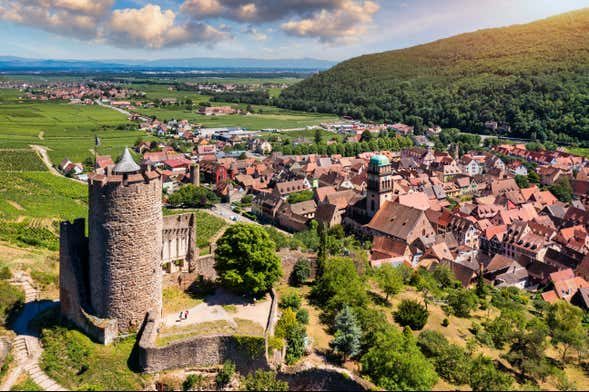 Tour por Alsacia + Cata de vinos