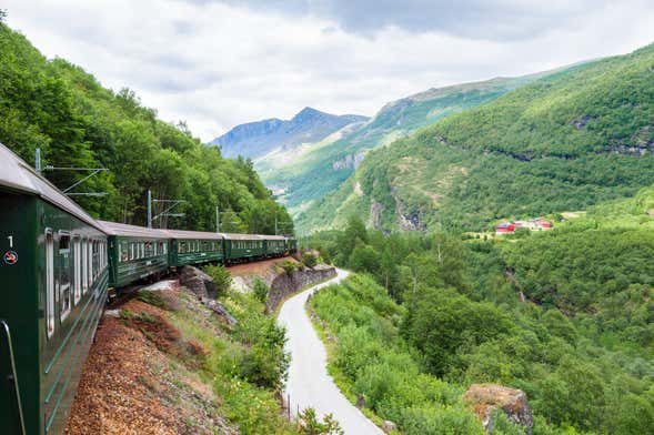 Tour por los fiordos noruegos: Tren de Flåm y paseo en barco por Nærøy