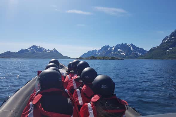 Avistamiento de aves en Trollfjord