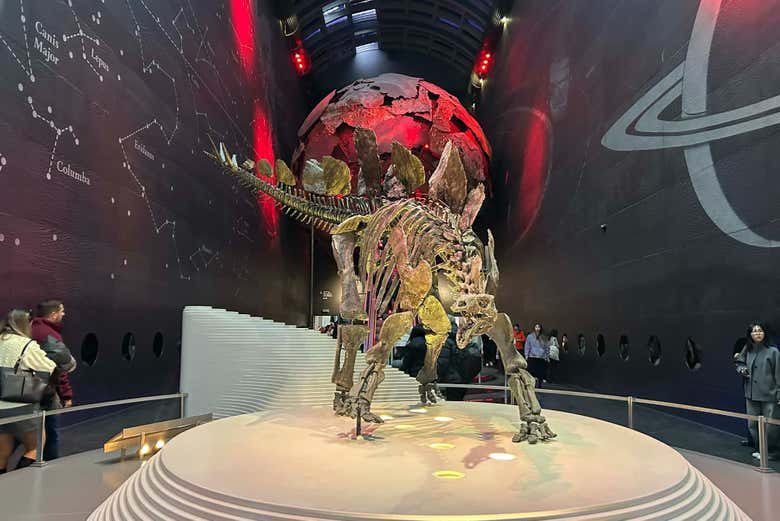 Visita guiada por el Museo de Historia Natural