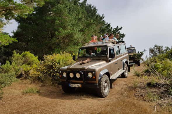 Tour en 4x4 por Santana, Pico del Arieiro y Punta de San Lorenzo