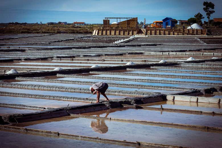 Visita guiada por las salinas de Aveiro