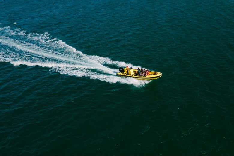 Barco a las islas Deserta, Farol y Culatra