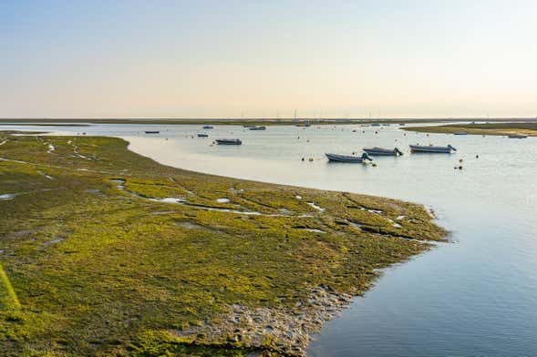 Paseo en lancha rápida por la Ría Formosa