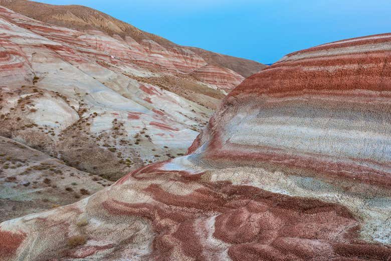 Excursión al Lago Rosa, Candy Cane y la Mezquita Heydar