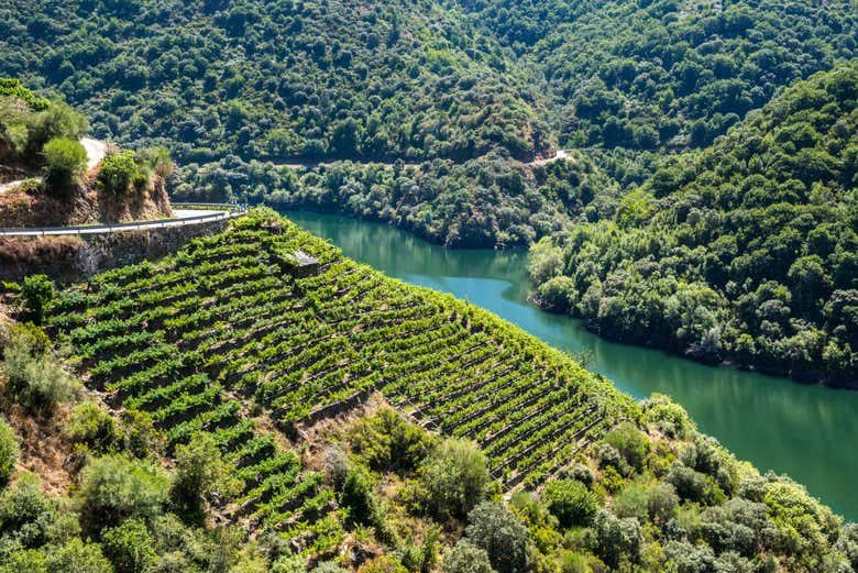 Excursión a la Ribeira Sacra