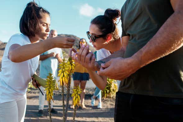 Visita a una plantación de aloe vera, olivos y permacultura