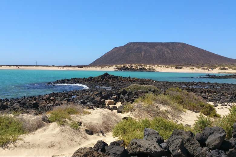 Excursión a la isla de Lobos