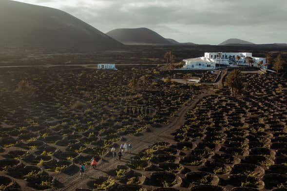 Visita a la bodega Vega de Yuco Testeina