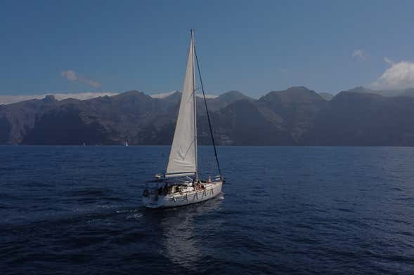 Paseo en velero por Los Gigantes