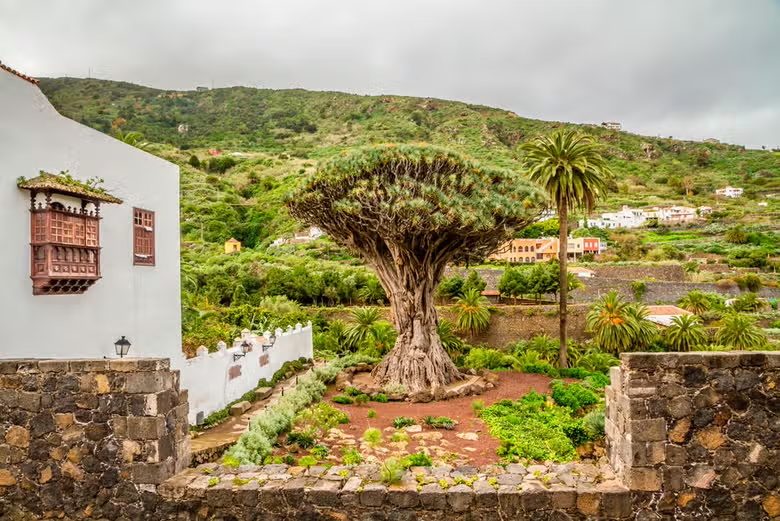 Excursión al Teide, Icod, Masca y Garachico desde el sur de Tenerife