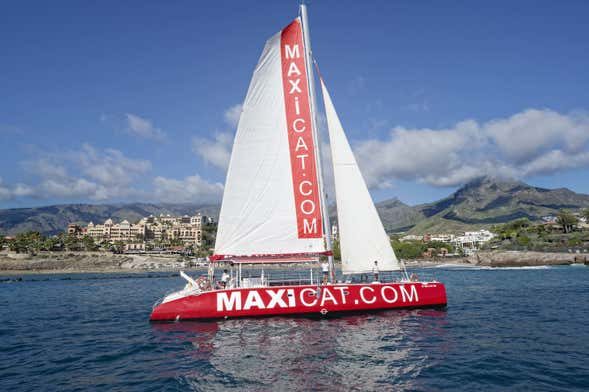 Paseo en catamarán por Costa Adeje