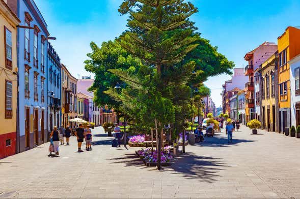 Free tour por La Laguna