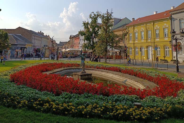 Excursión a Novi Sad