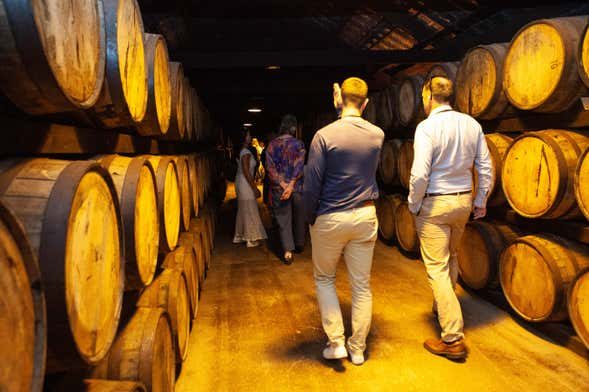 Tour del whisky Jameson en la destilería Midleton