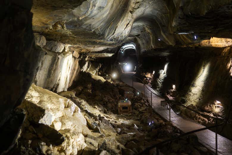 Visita a la cueva de Aillwee + Centro de Aves Rapaces del Burren