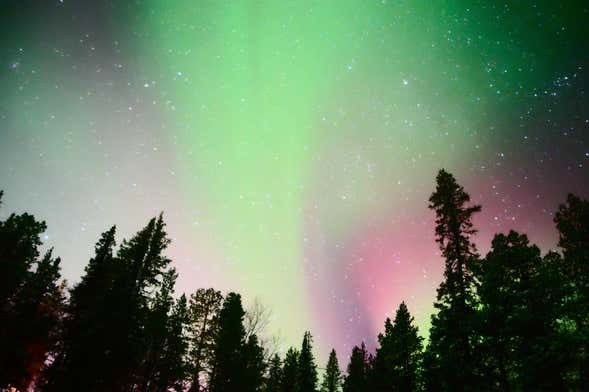 Tour de la aurora boreal por Kiruna