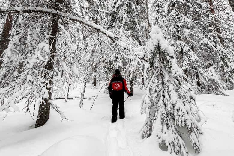 Paseo con raquetas de nieve por Luleå
