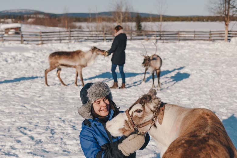 Excursión a la aldea sami Jukkasjärvi