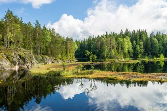 Trekking por el Parque Nacional Nuuksio