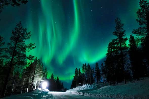 Paseo en trineo de perros husky bajo la aurora boreal