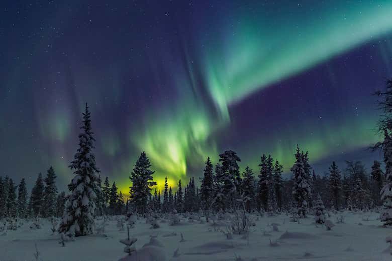 Tour de la aurora boreal por Saariselkä