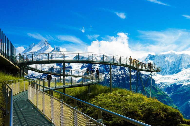 Excursión a Grindelwald y el Monte First