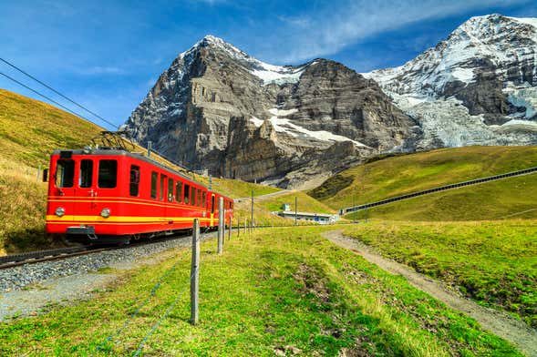 Excursión a Jungfraujoch