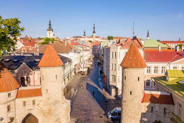 Free tour por Tallin