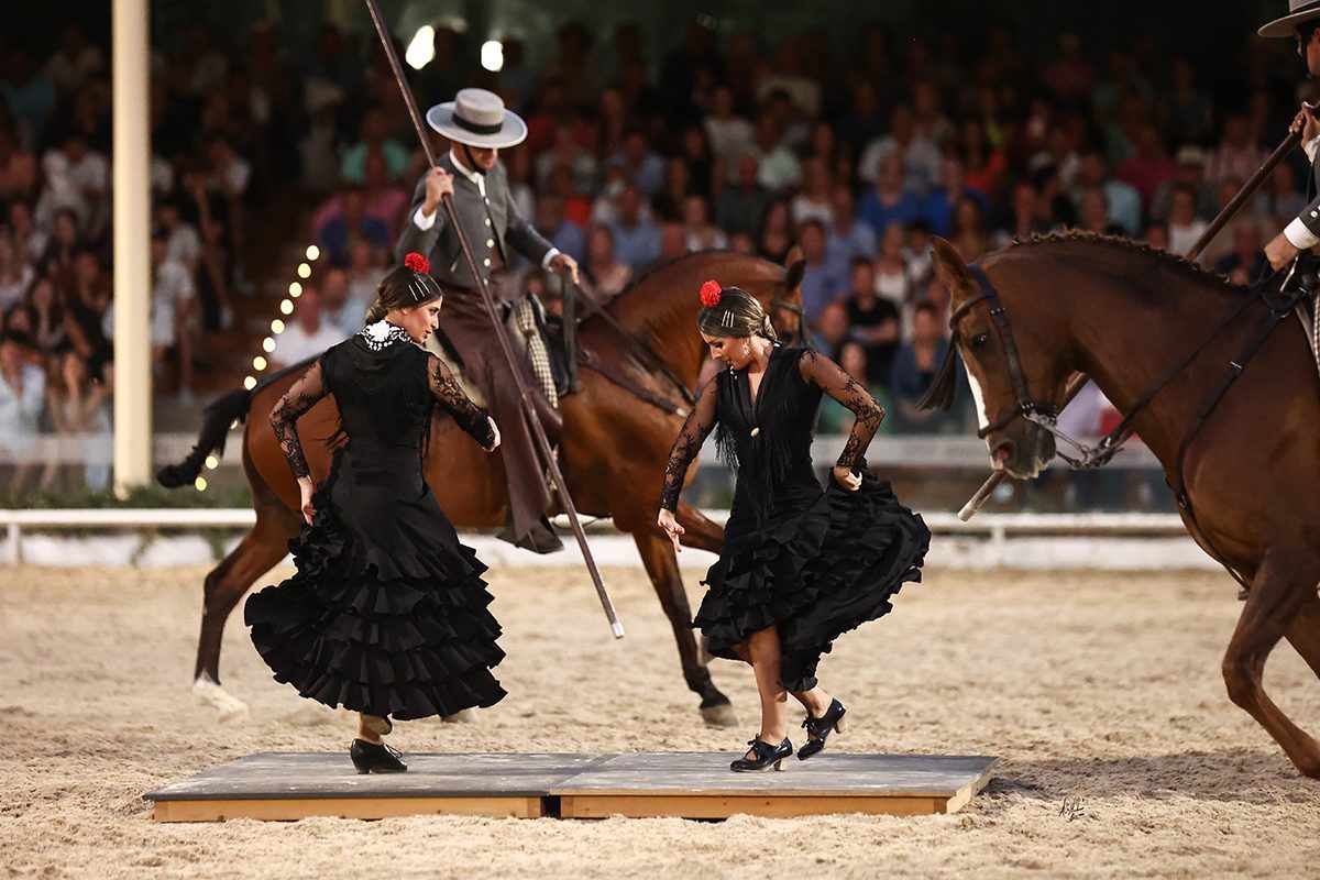 Foto 5 de Pasión y Duende del Caballo Andaluz