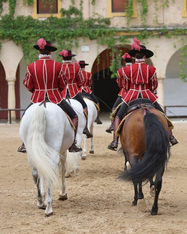 Foto 2 de Pasión y Duende del Caballo Andaluz