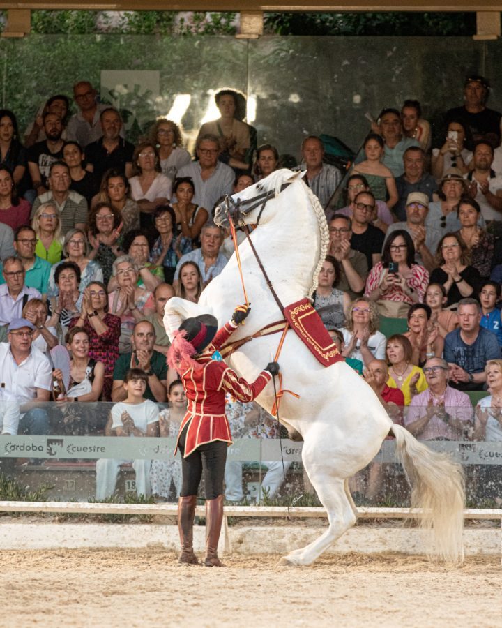 Foto 6 de Pasión y Duende del Caballo Andaluz