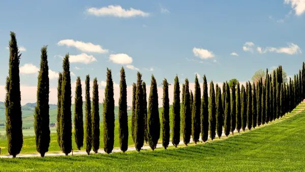 Excursión al Valle de Orcia, Montalcino, Pienza y Montepulciano con degustación desde Florencia