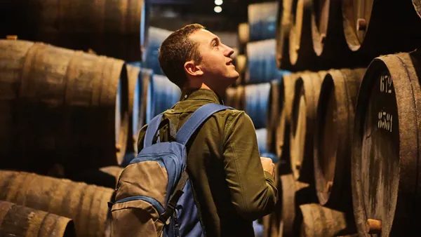 Tour por Oporto y Vila Nova de Gaia con visita a bodega de vino