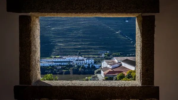 Excursión por el Valle del Duero con cata de vinos, crucero por el río y visita a Lamego desde Oporto