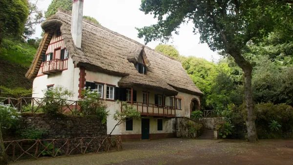 Trekking por Queimadas, Levada del Caldeirão Verde e Isla desde Funchal