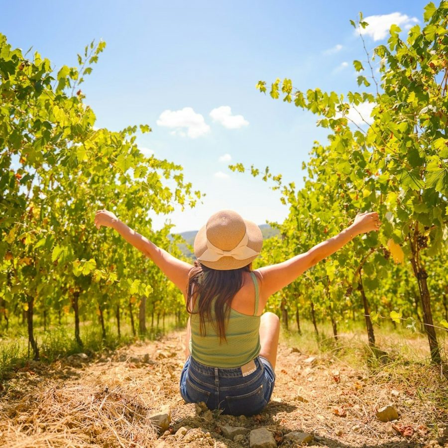 Chianti: Excursión de un día desde Florencia + Visita y Cata de Vinos