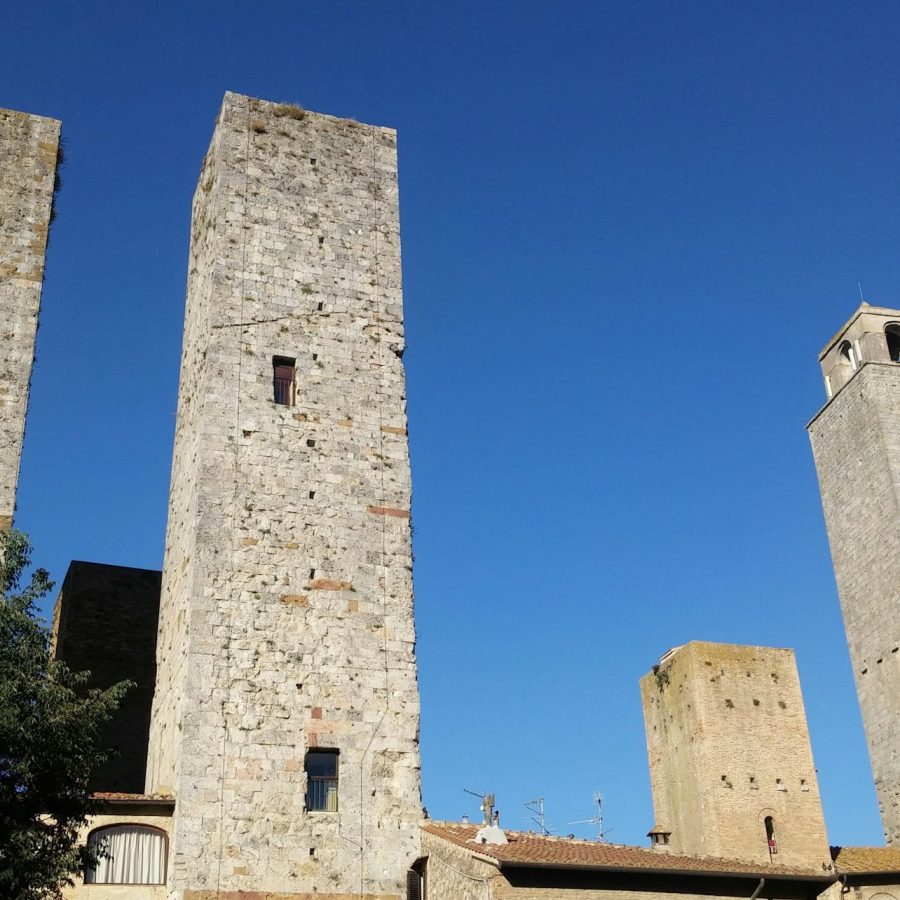 San Gimignano: Visita guiada a los viñedos + Cata de vinos + Comida