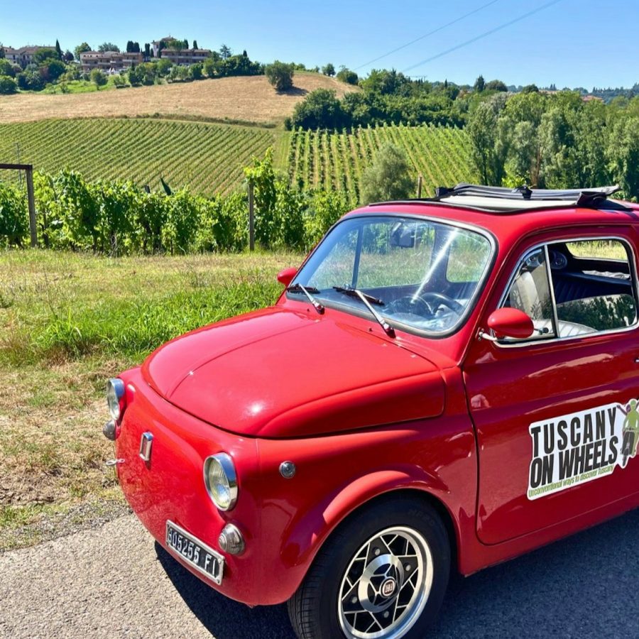 Chianti: Tour Privado en Fiat 500 Vintage + Traslados + Cata de Vinos