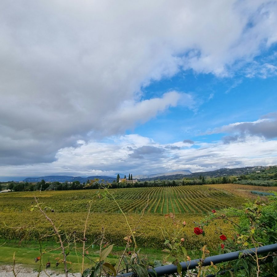 Lago de Garda: Cata de vinos + Visita a los viñedos de Bardolino