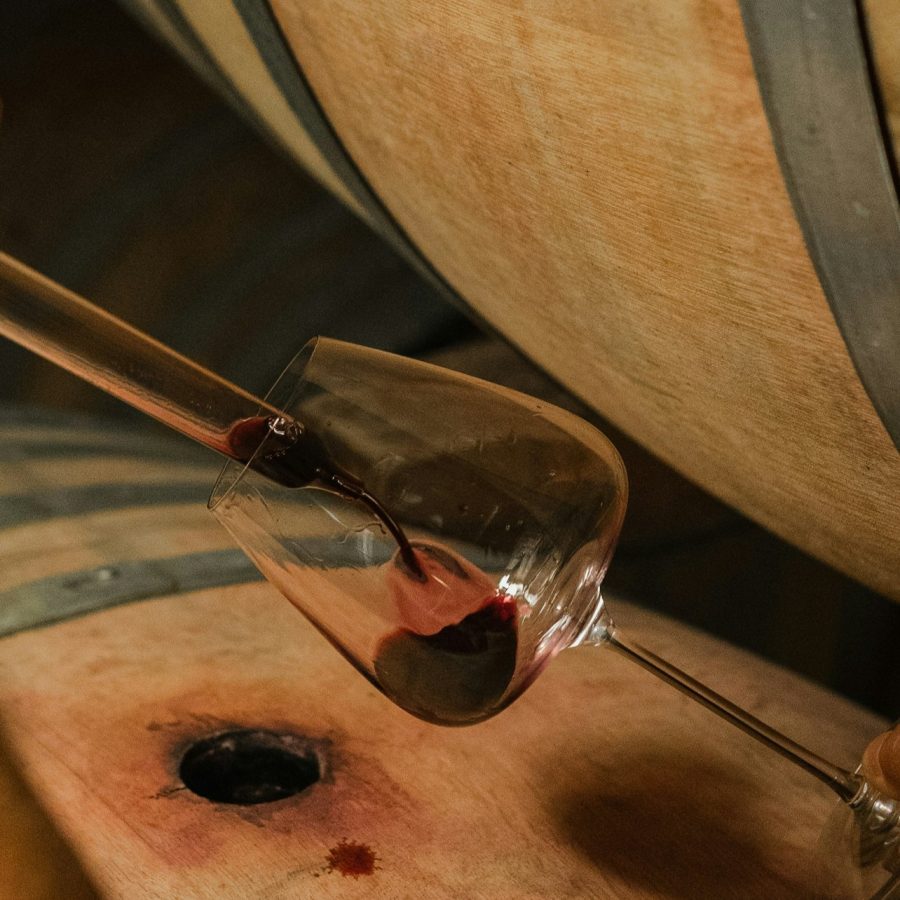 Bodega Corte Pavone: Visita entre bastidores al Brunello + Degustación gastronómica