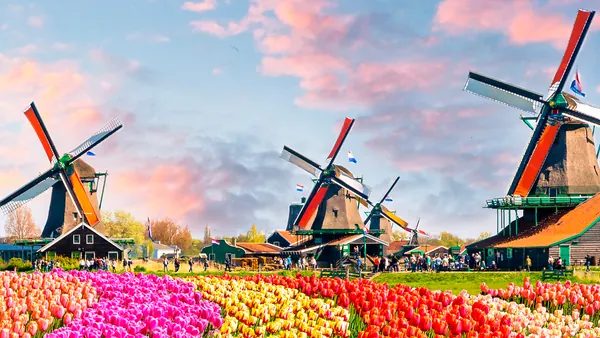 Excursión a los jardines de Keukenhof con traslado y guía desde Ámsterdam